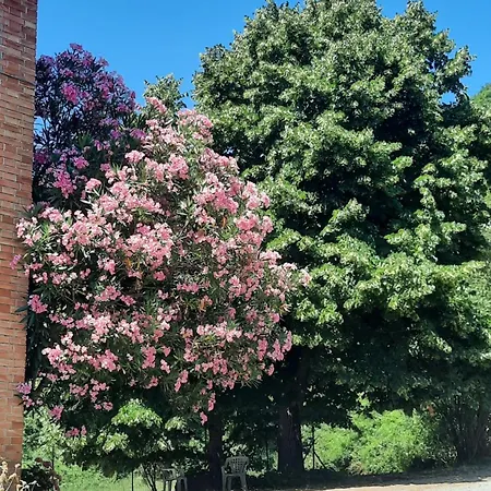 Gasthuis Casa Falerno